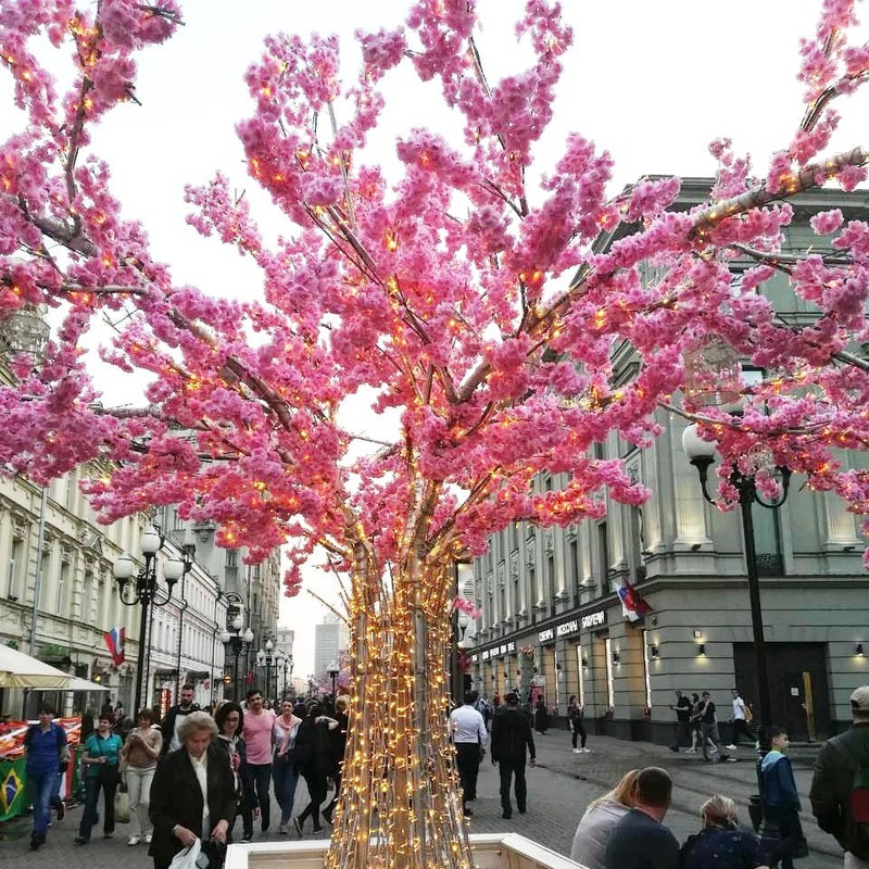 30954053 378011719376316 5133116149336113152 n