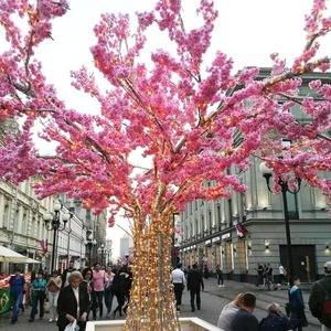 Medium 30954053 378011719376316 5133116149336113152 n